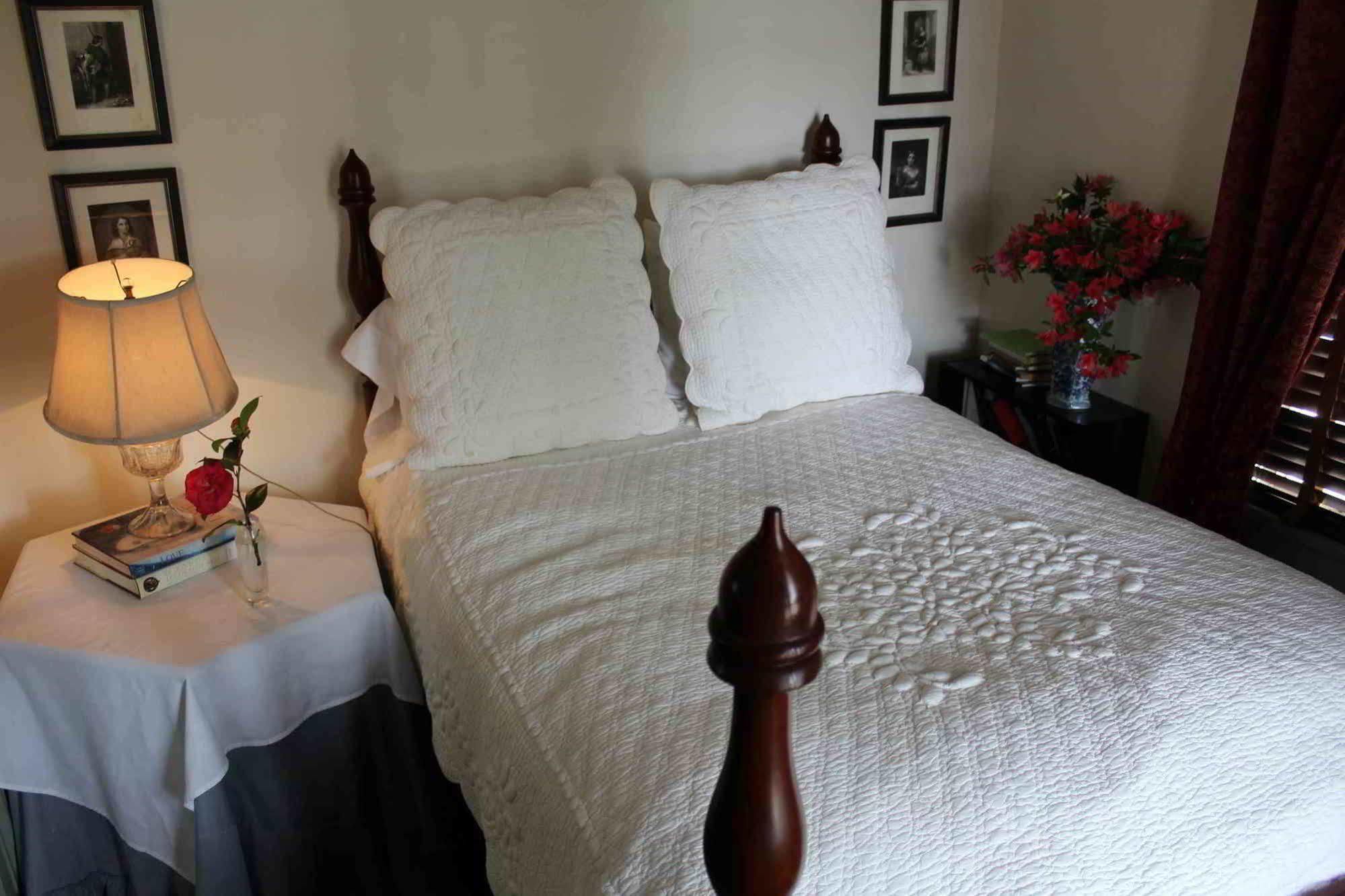 The Elms Bed And Breakfast Natchez Zewnętrze zdjęcie
